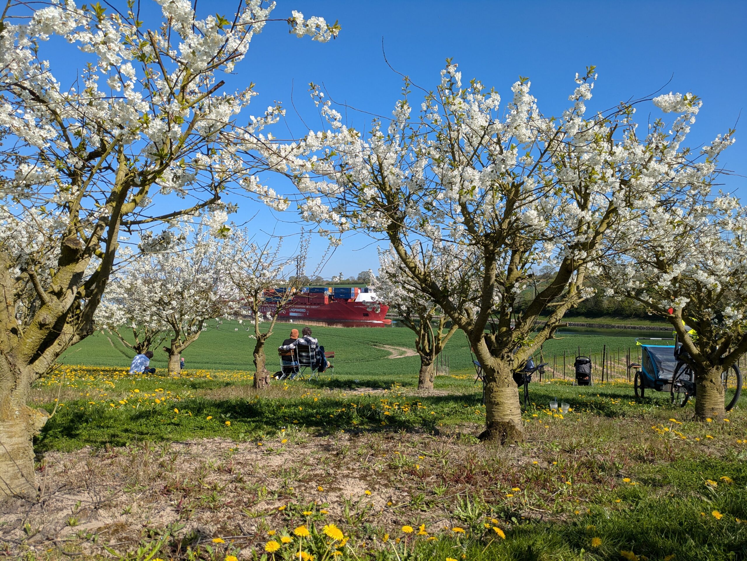 Obstcafé Warleberg