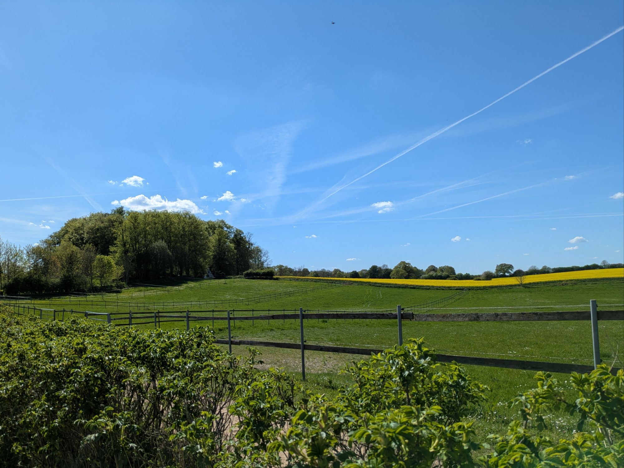 Spaziergang 1.5.25