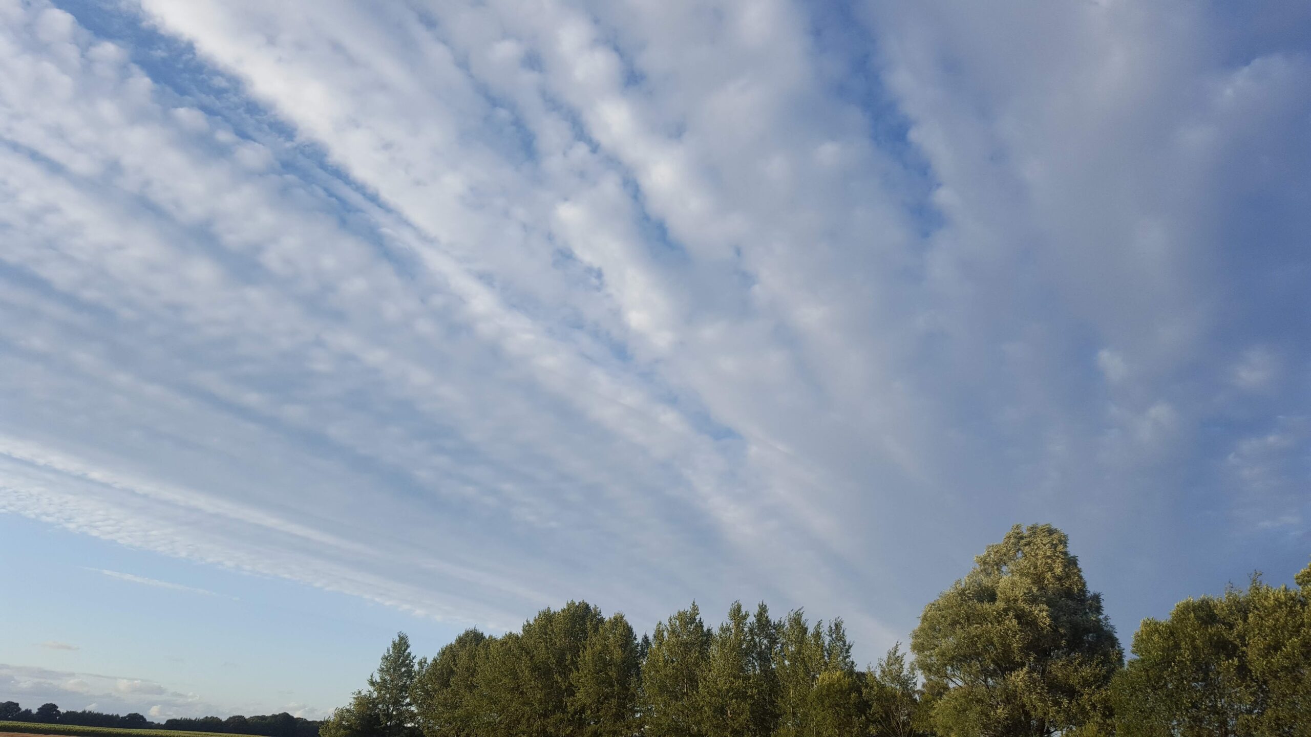 1. August