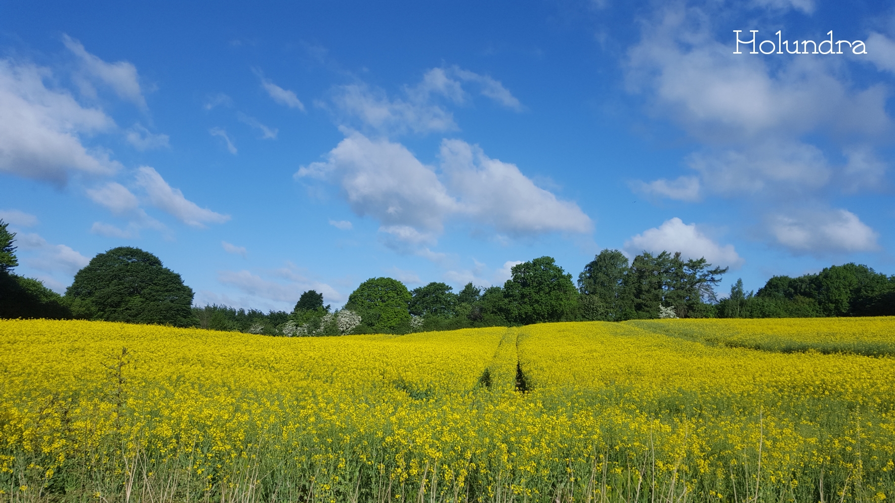 24. Mai 2017