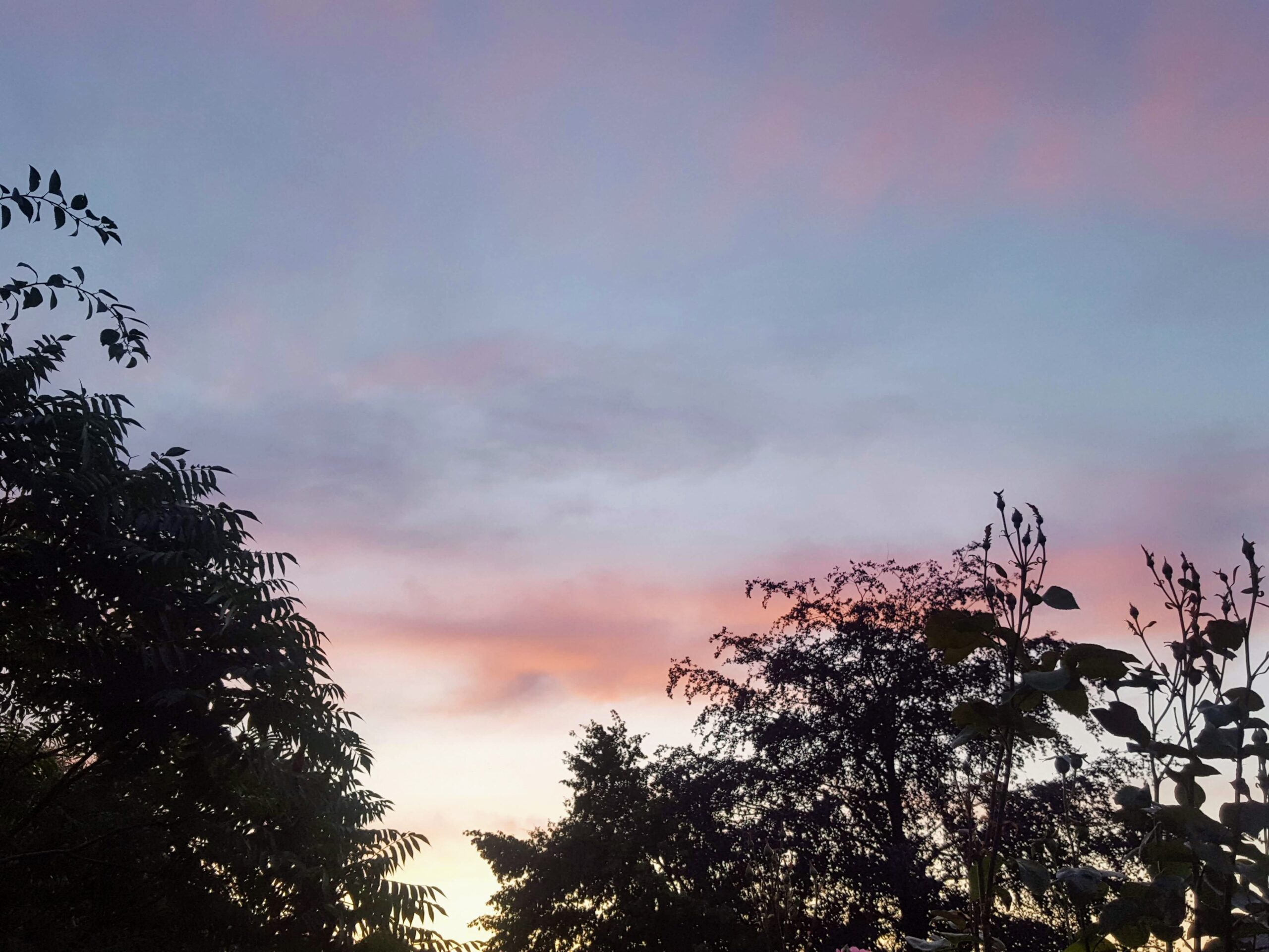 12. August