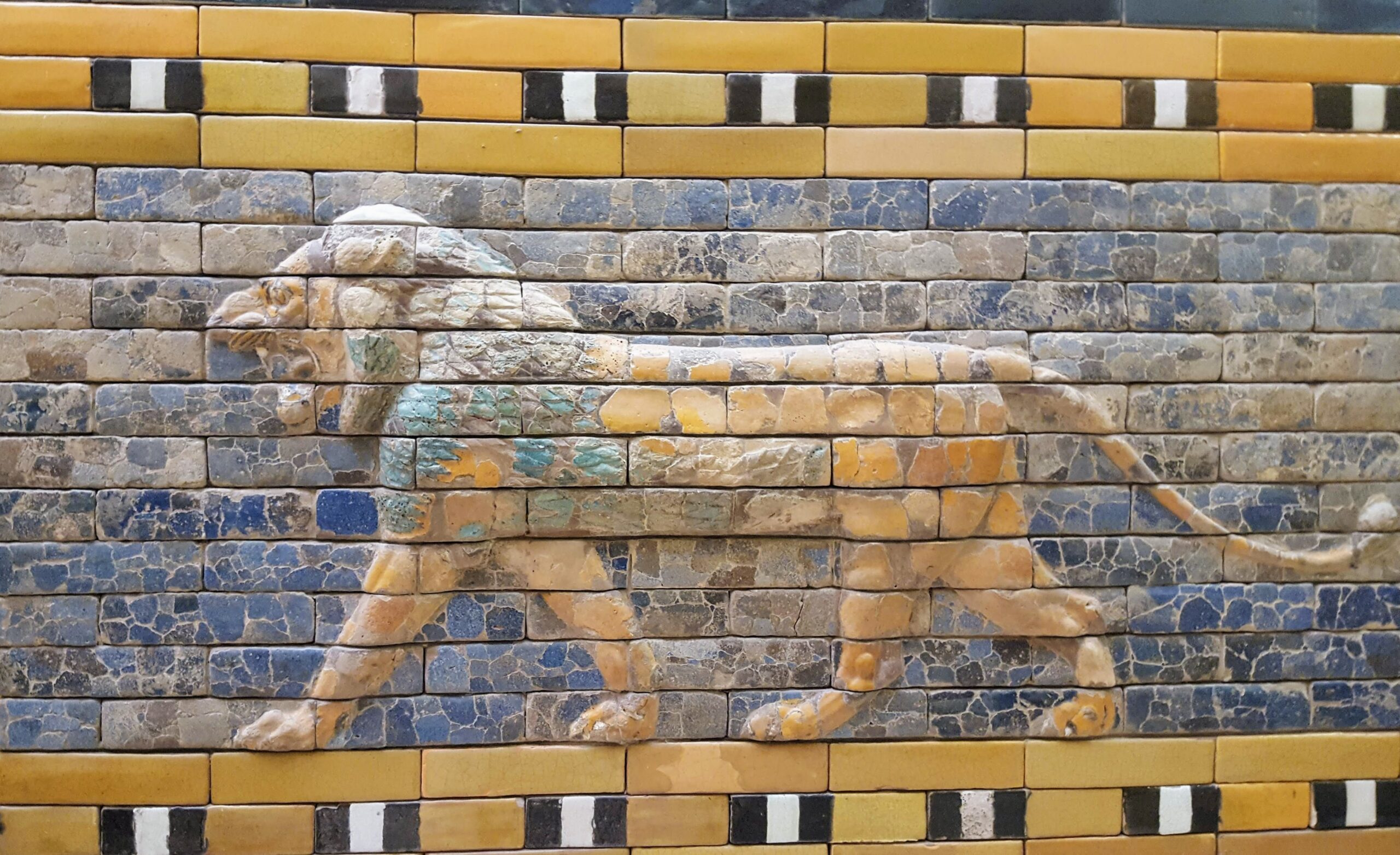 World Lion Day