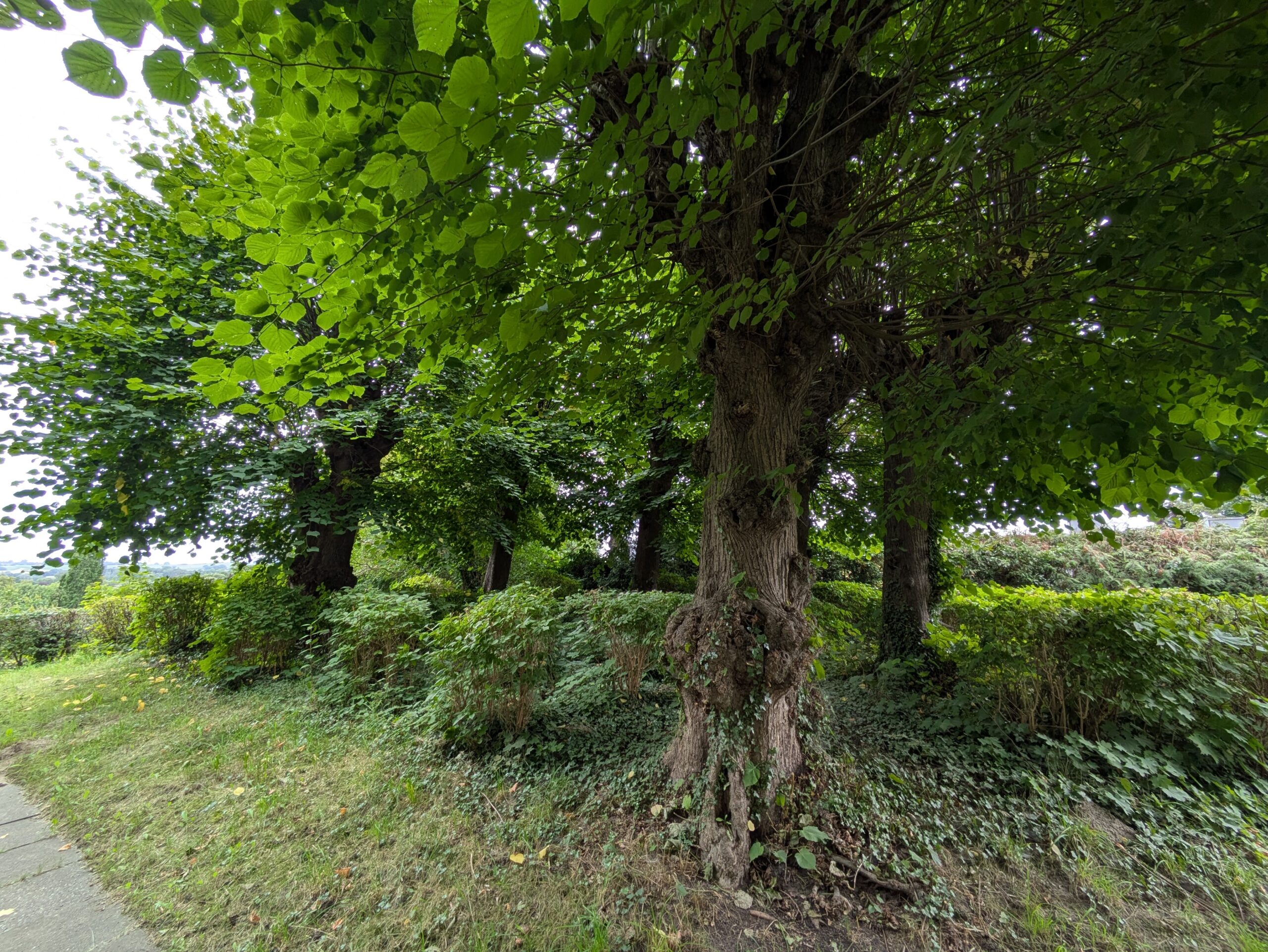 Bieberhöhe und Ehrenmal Plön