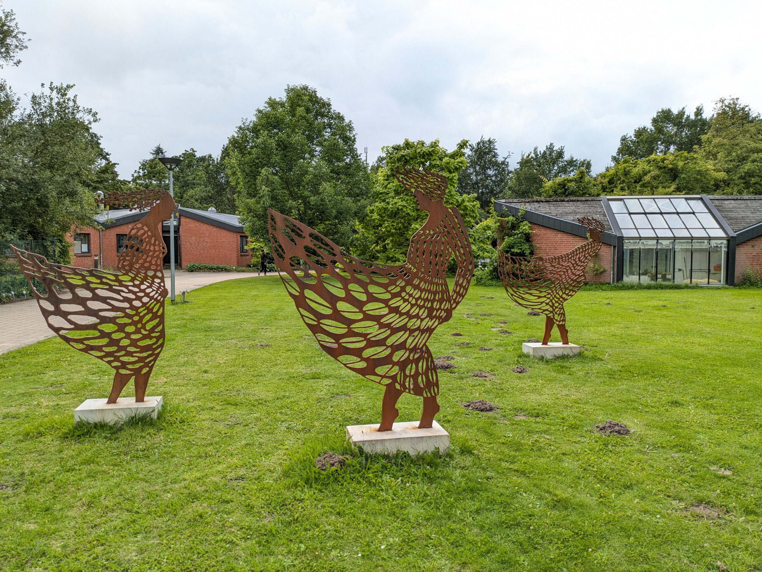 Botanischer Garten August 2025