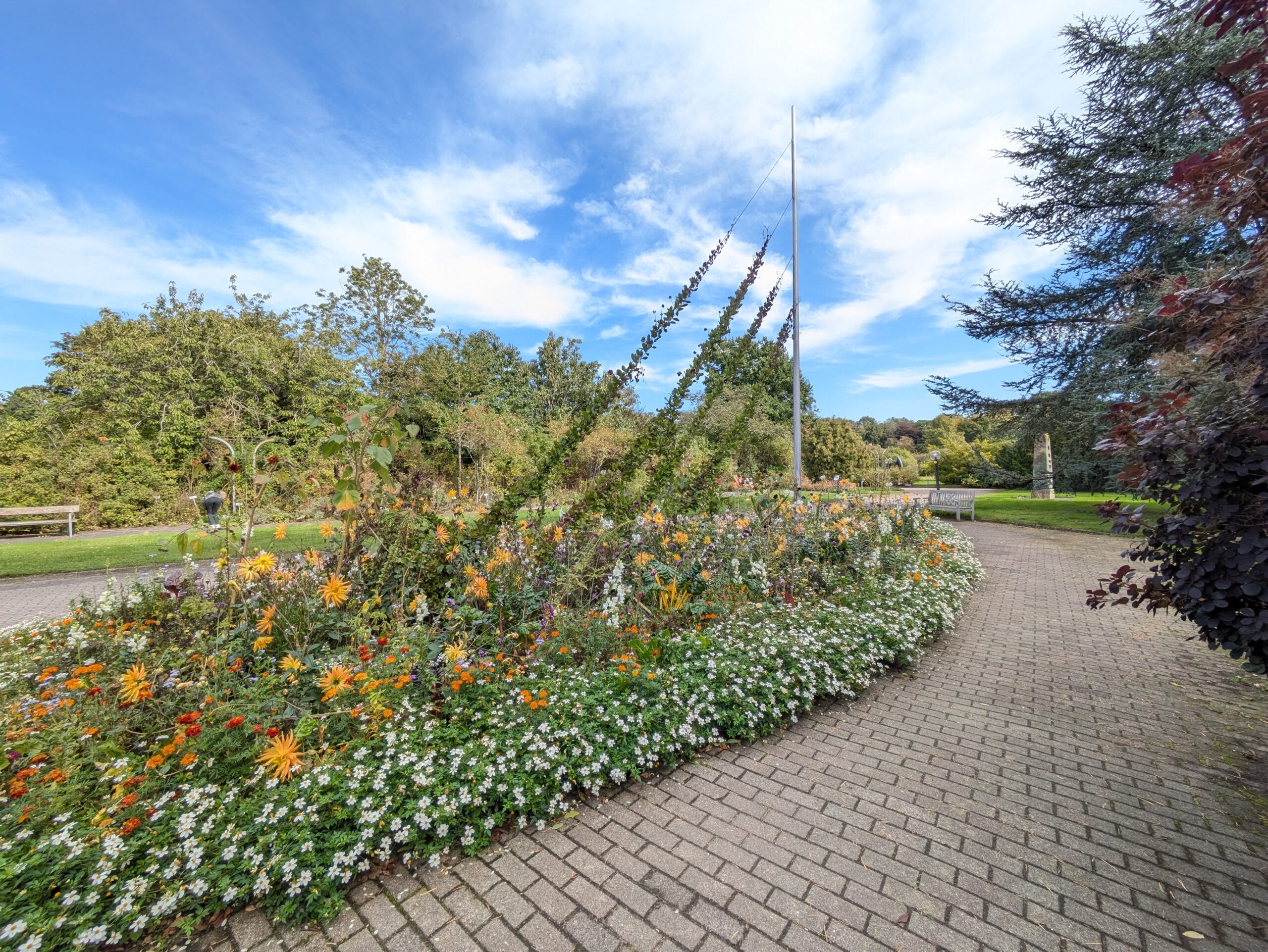 Botanischer Garten September 2025