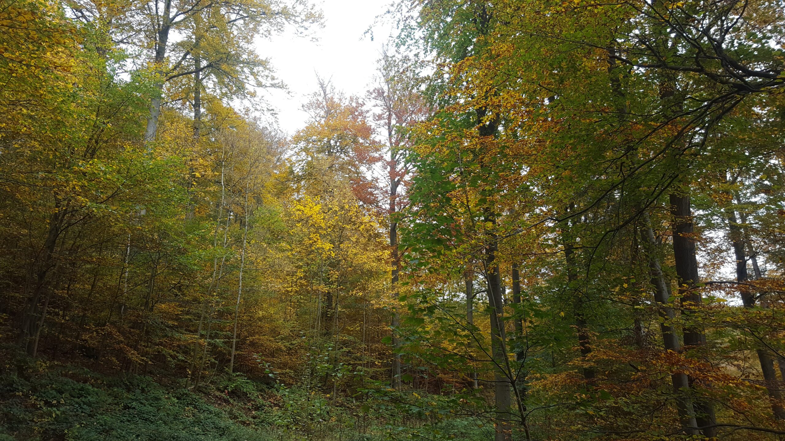 15. Oktober