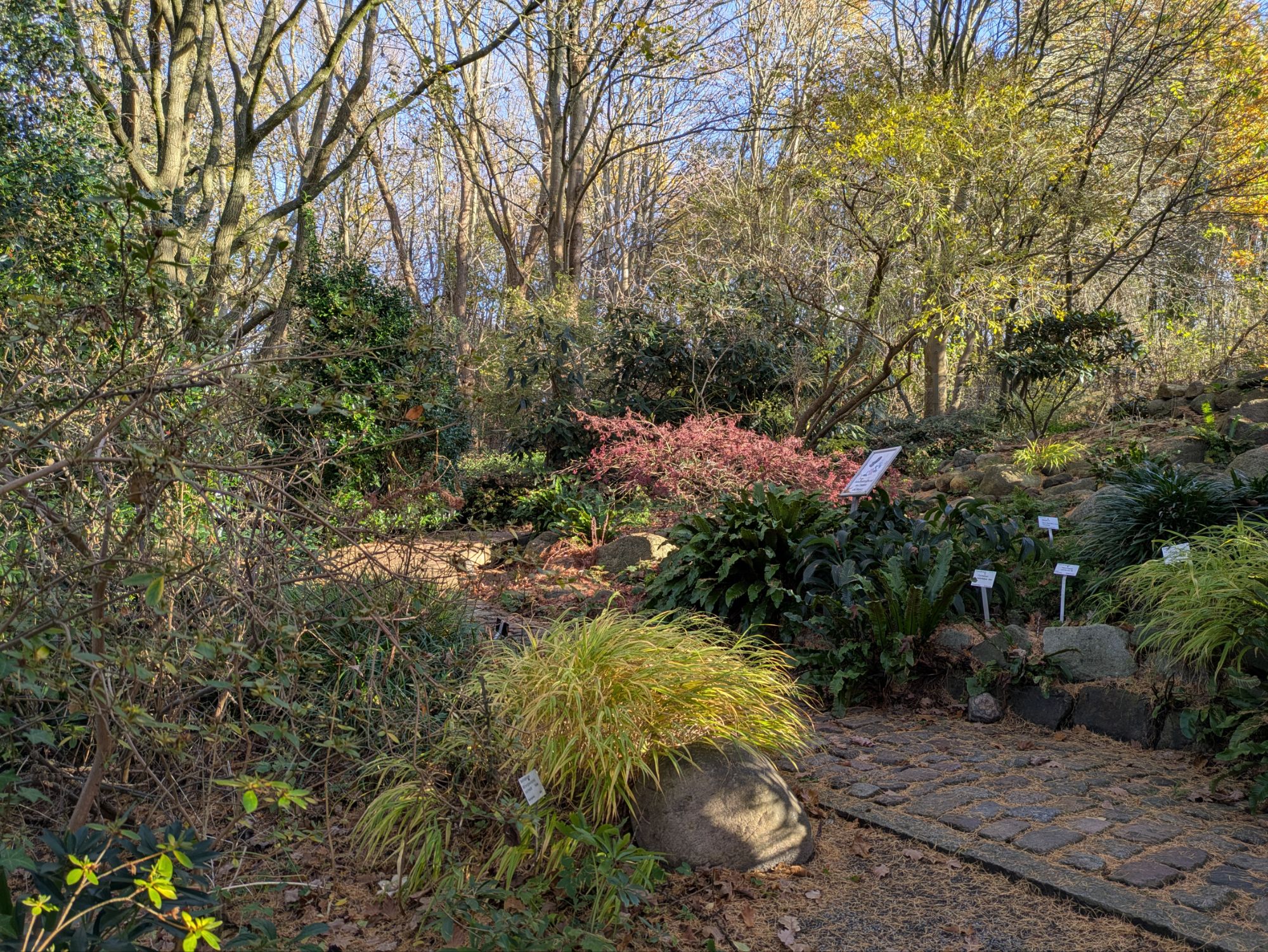 Botanischer Garten Nov. 2025