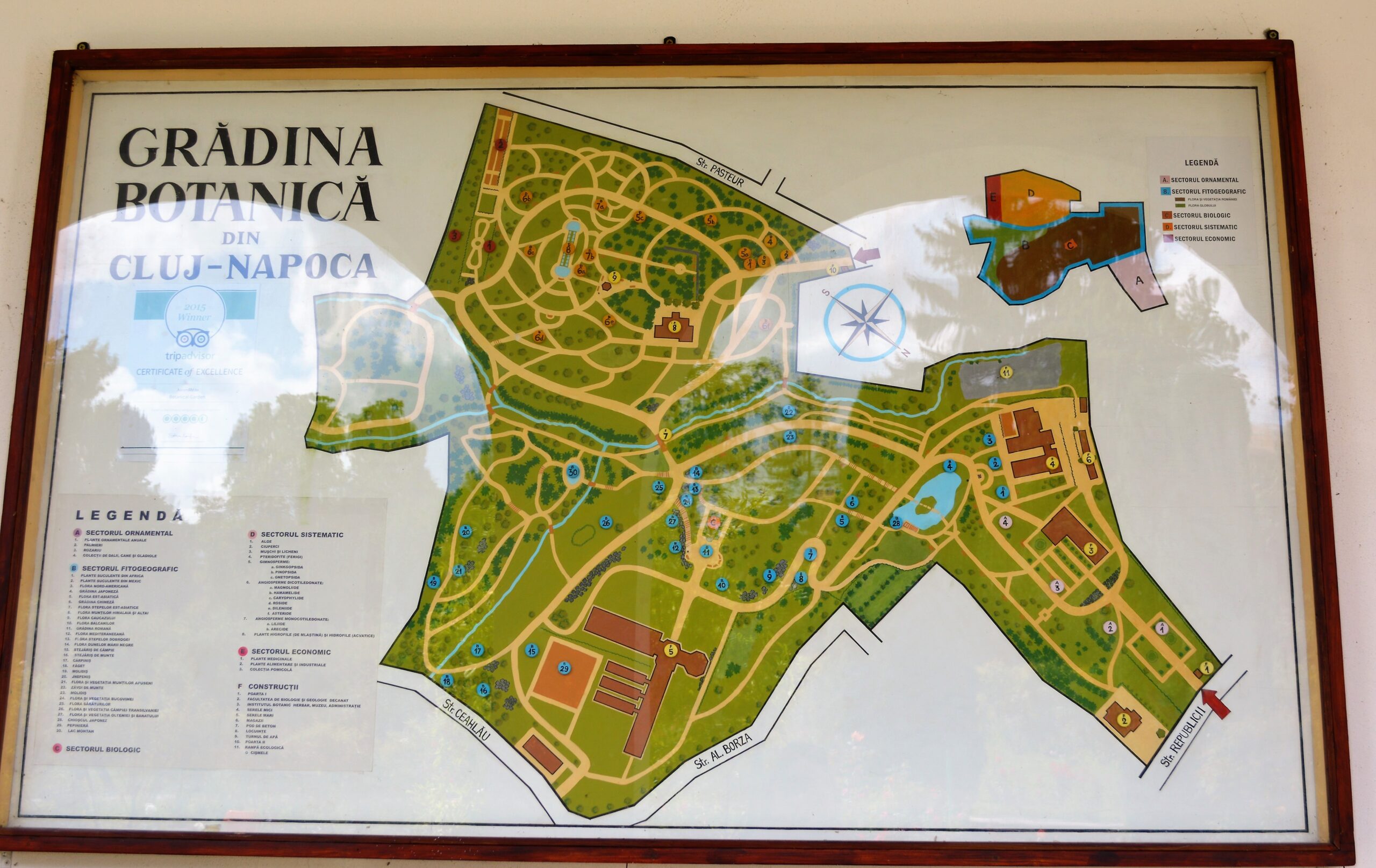 Botanischer Garten Cluj