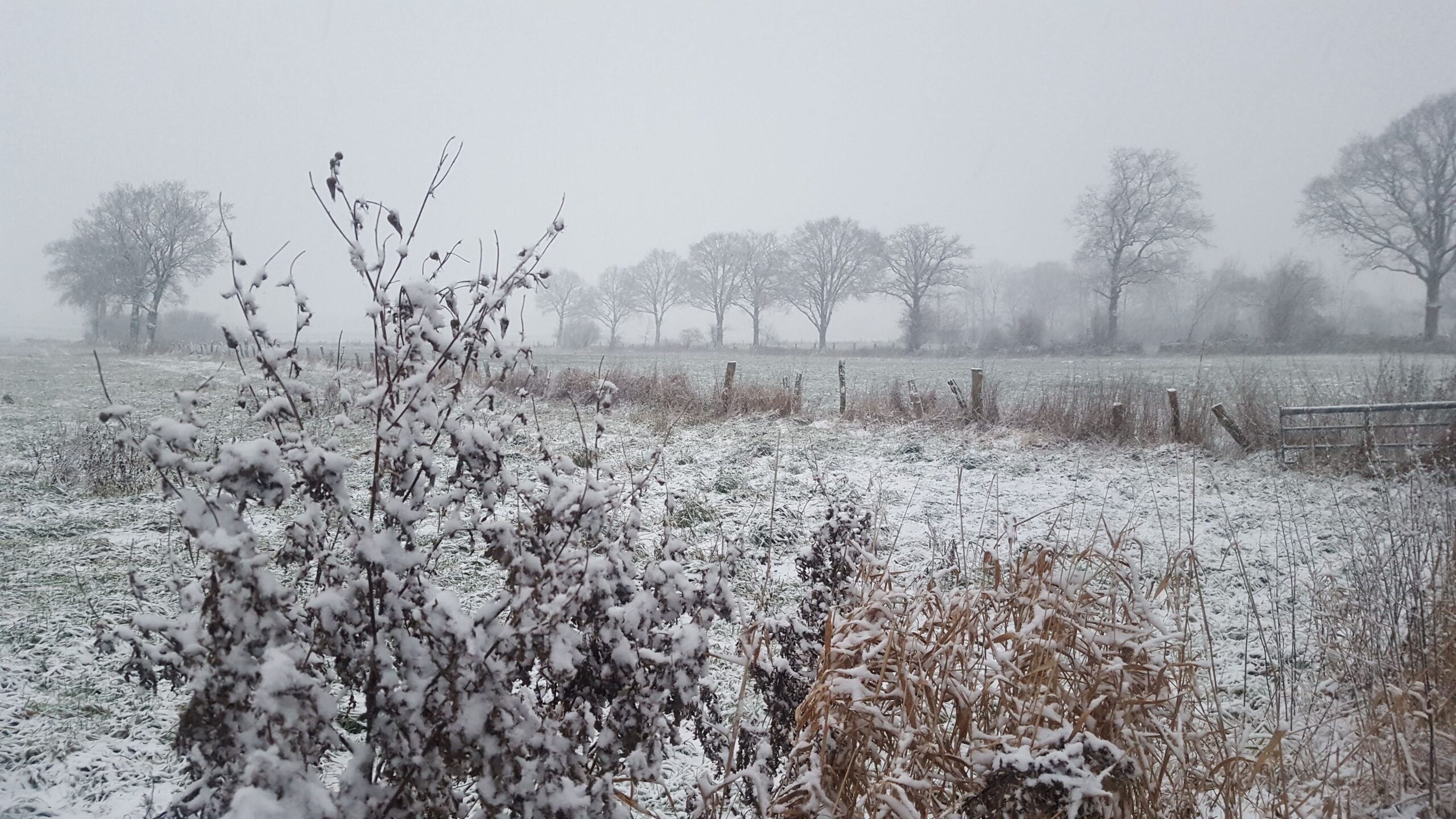 23. Dezember