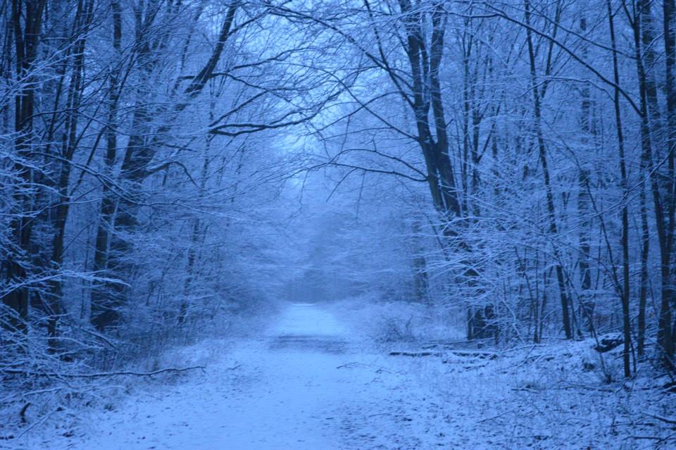 19. Januar