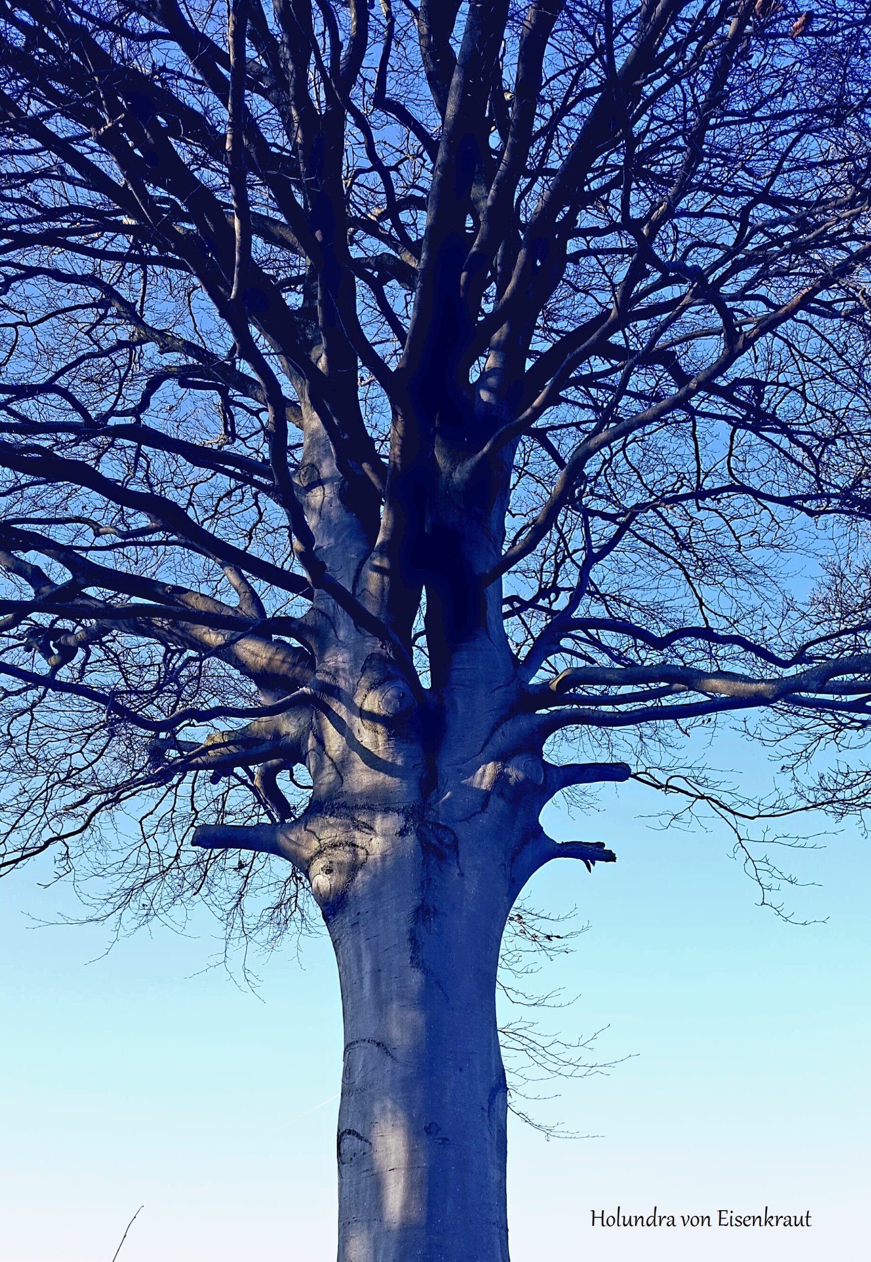 Nicht rechnen und zählen