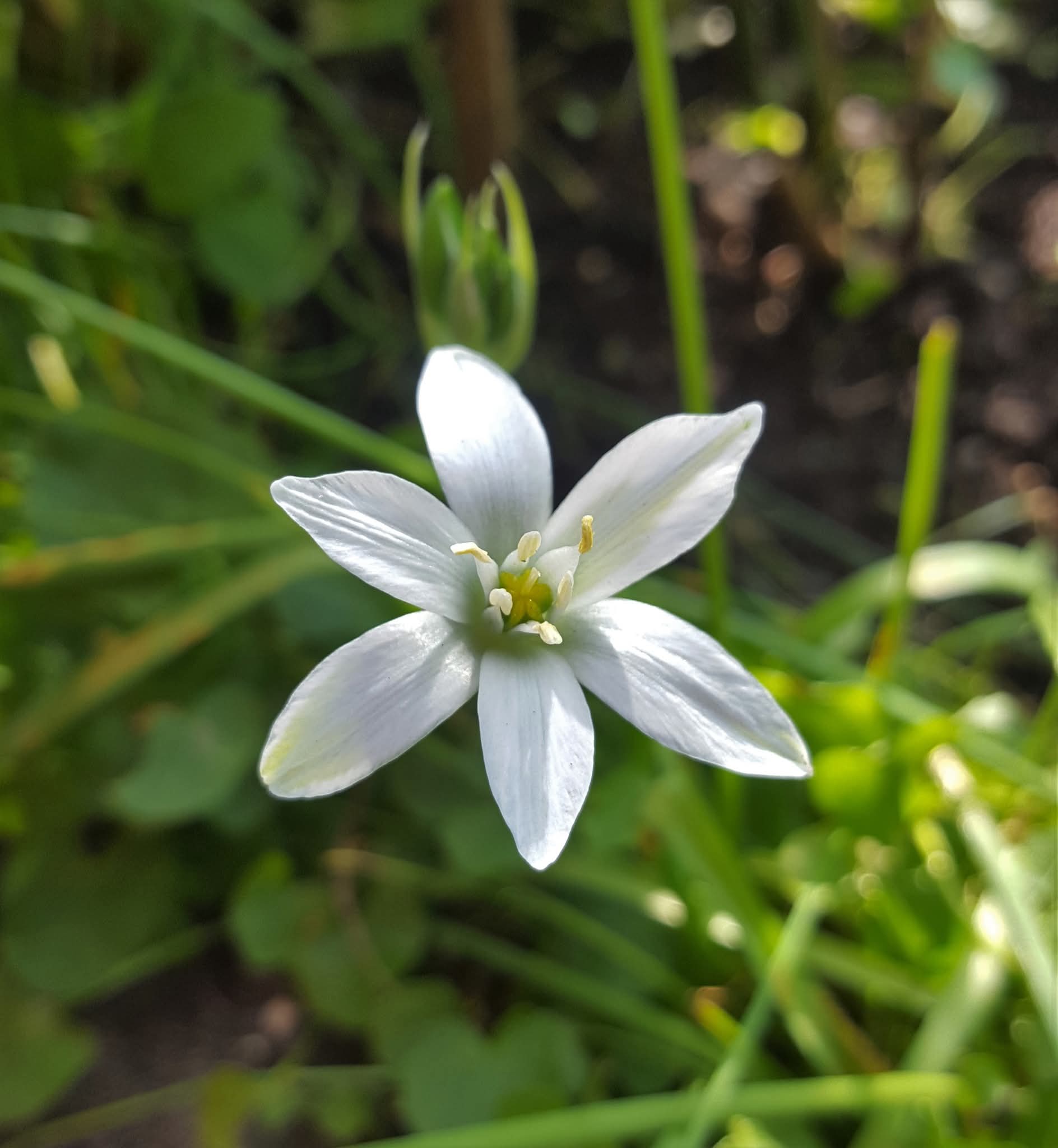 Nicht alle Schmerzen sind heilbar