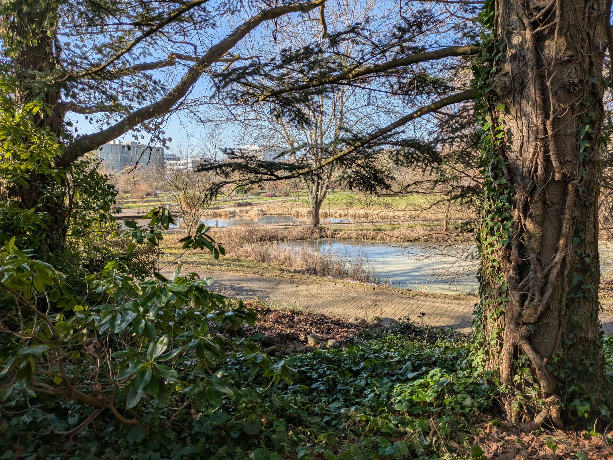 Botanischer Garten 3.3.26