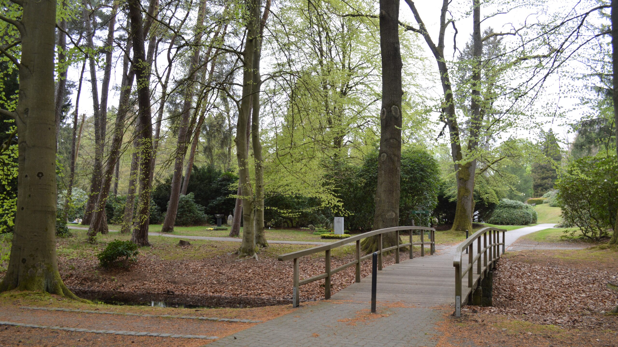 Friedhof Ohlsdorf 2
