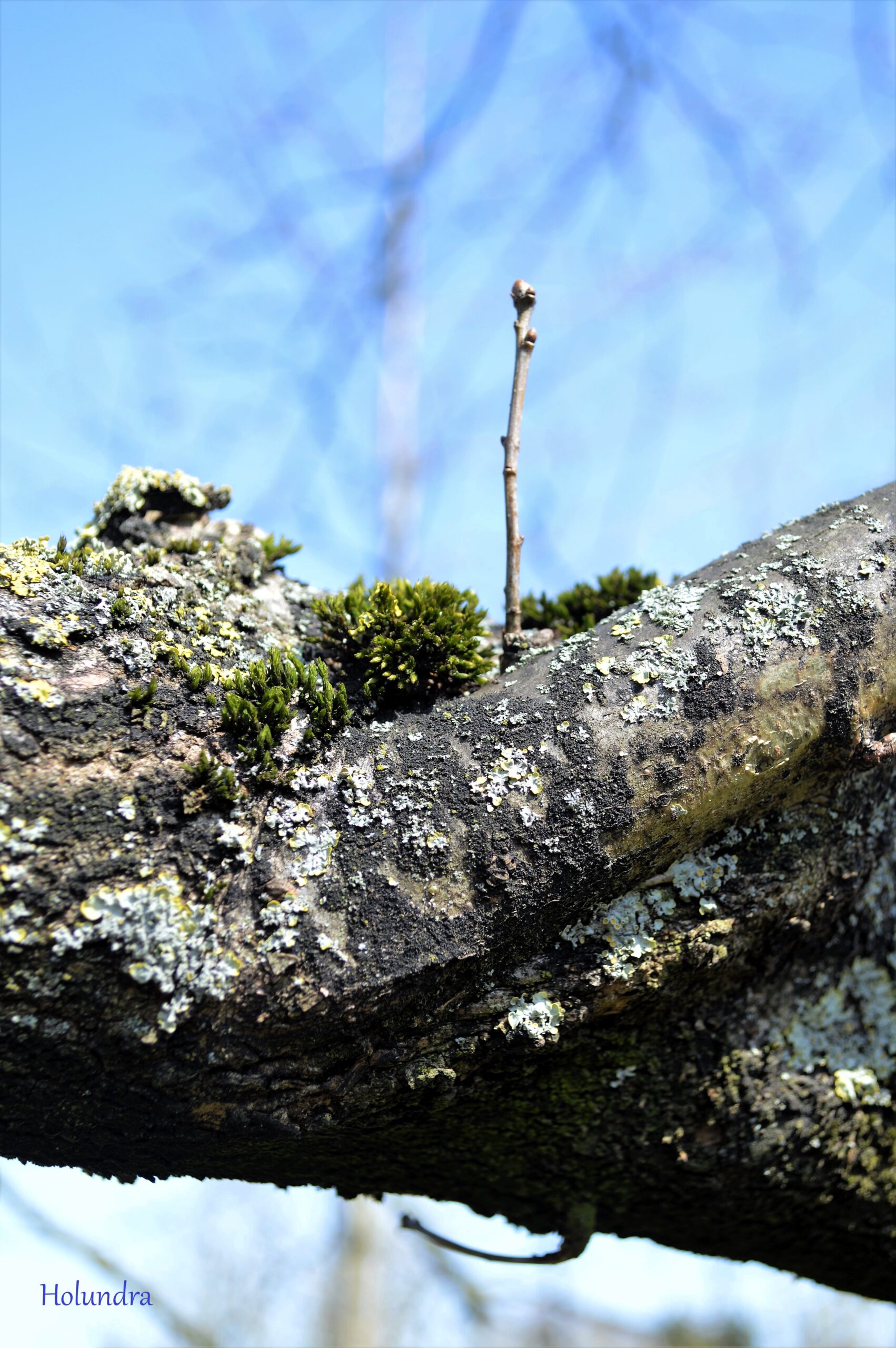 Botanischer Garten April 2018