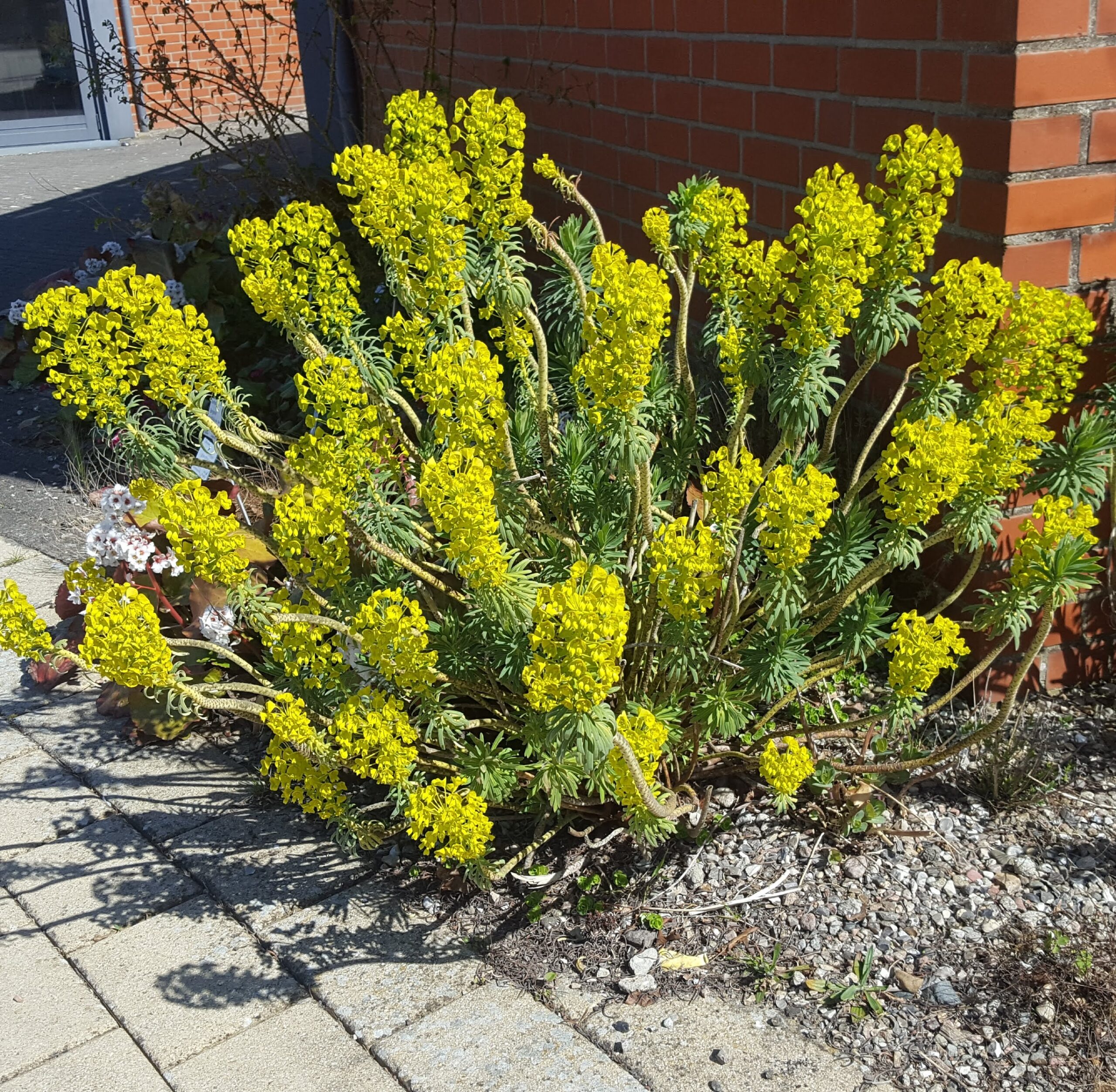 Botanischer Garten April 2021