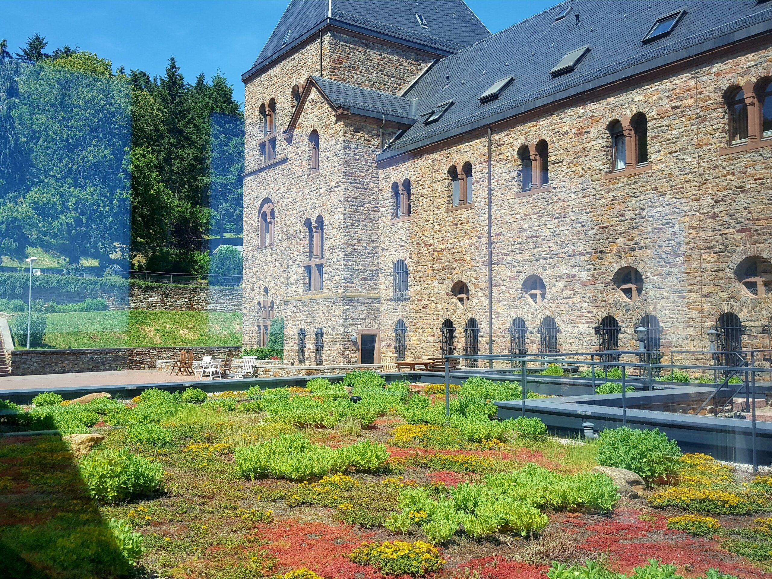 Eibingen 2.6.2019