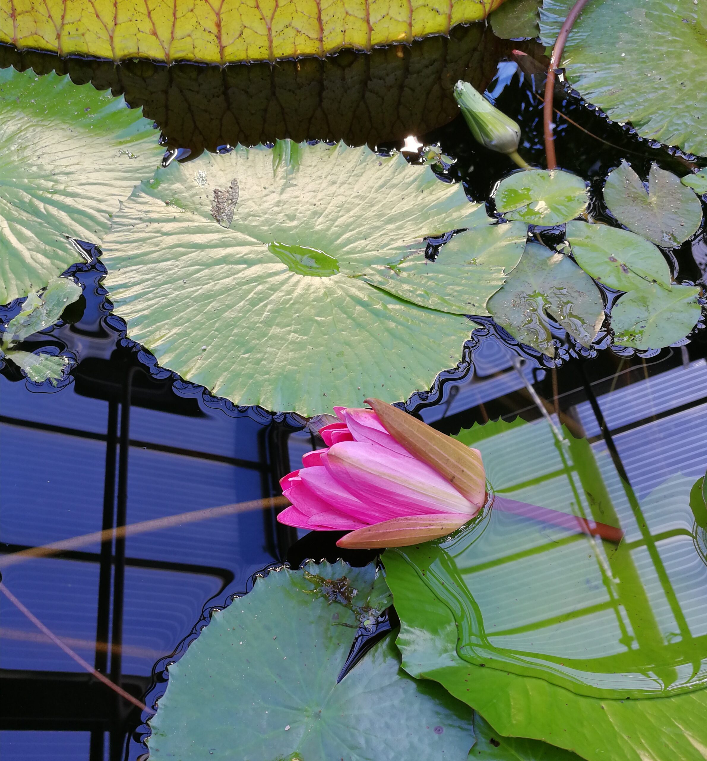 Botanischer Garten Mai 2024