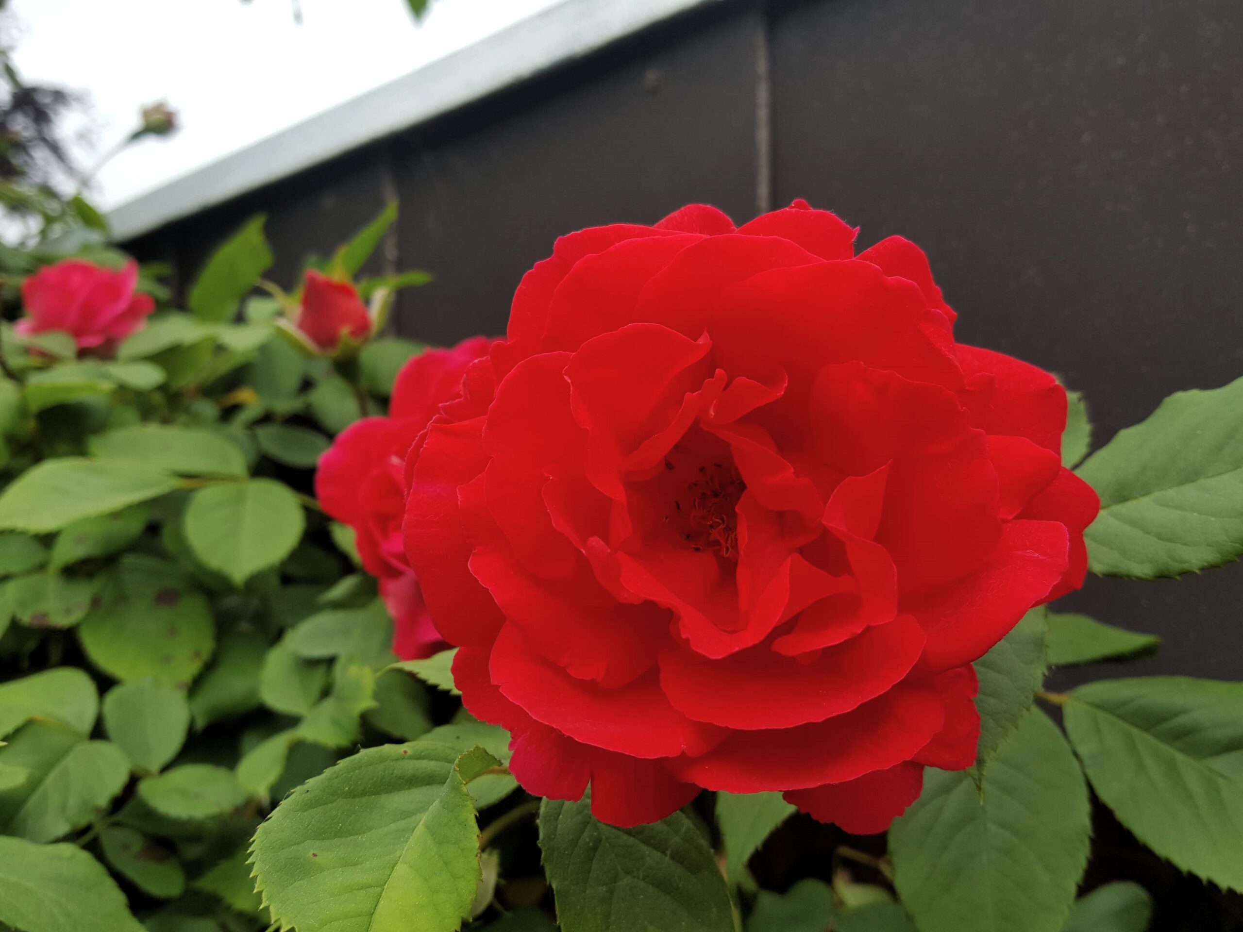 27. Mai