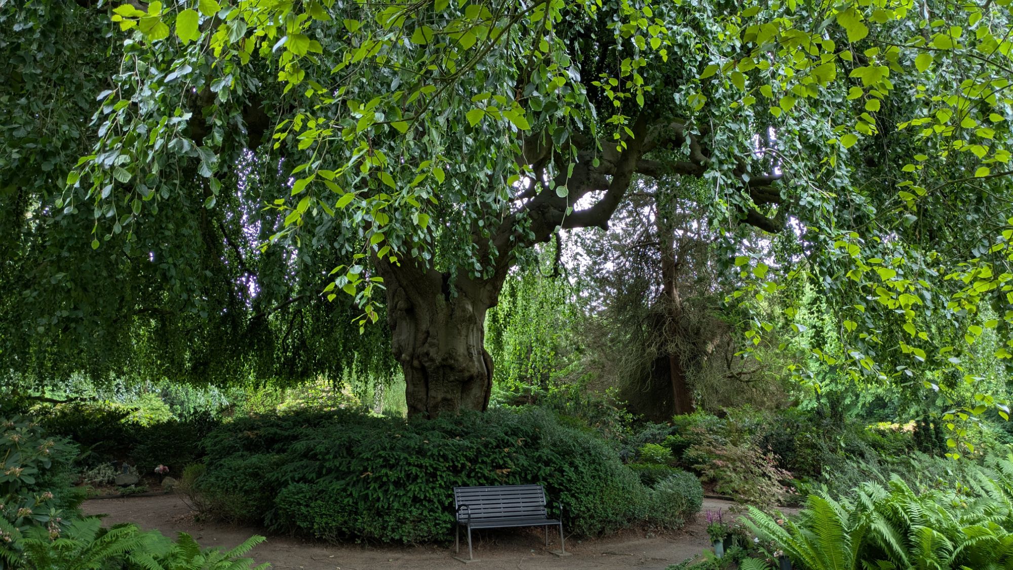 Neuwerker Friedhof Rendsburg