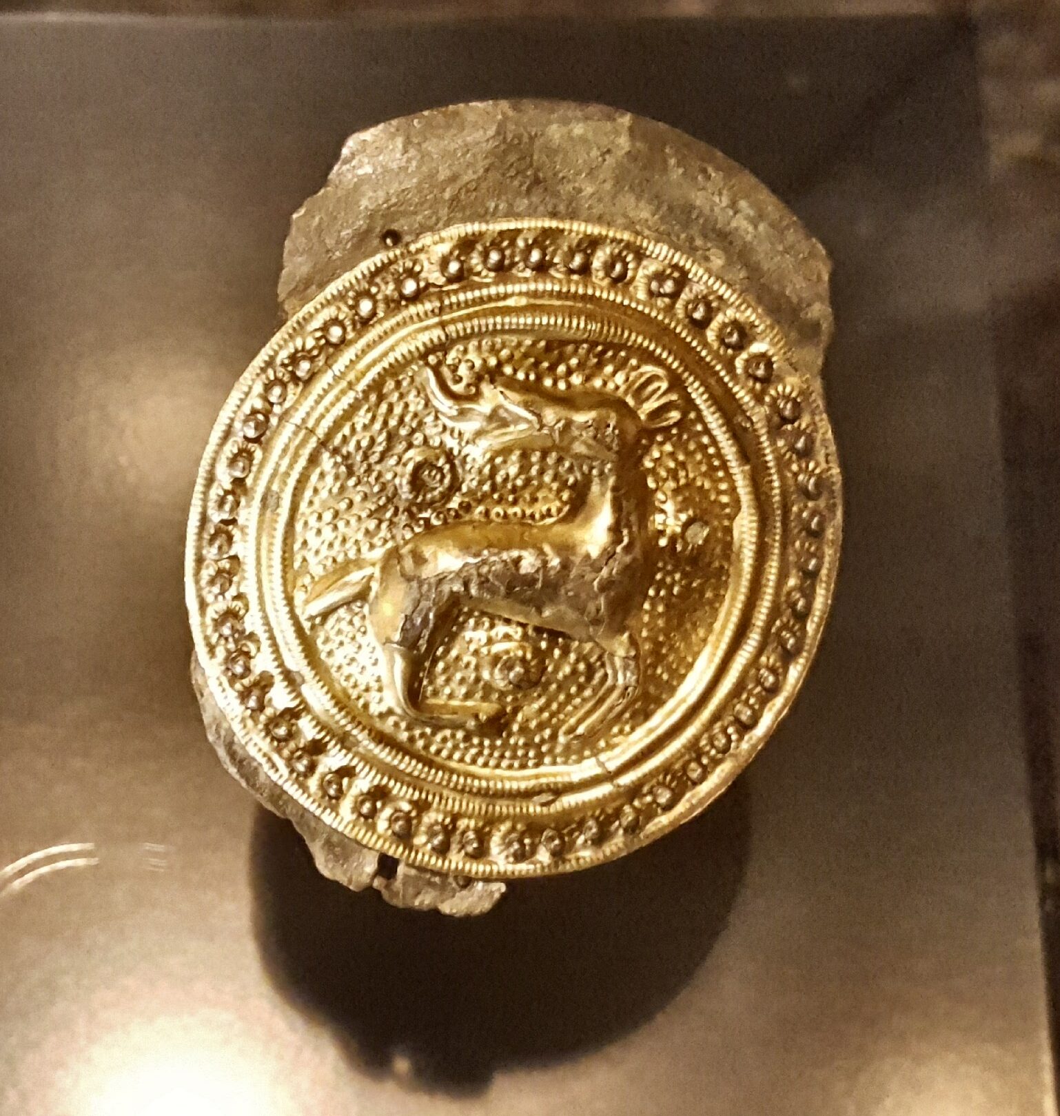 Archäologisches Museum Hamburg