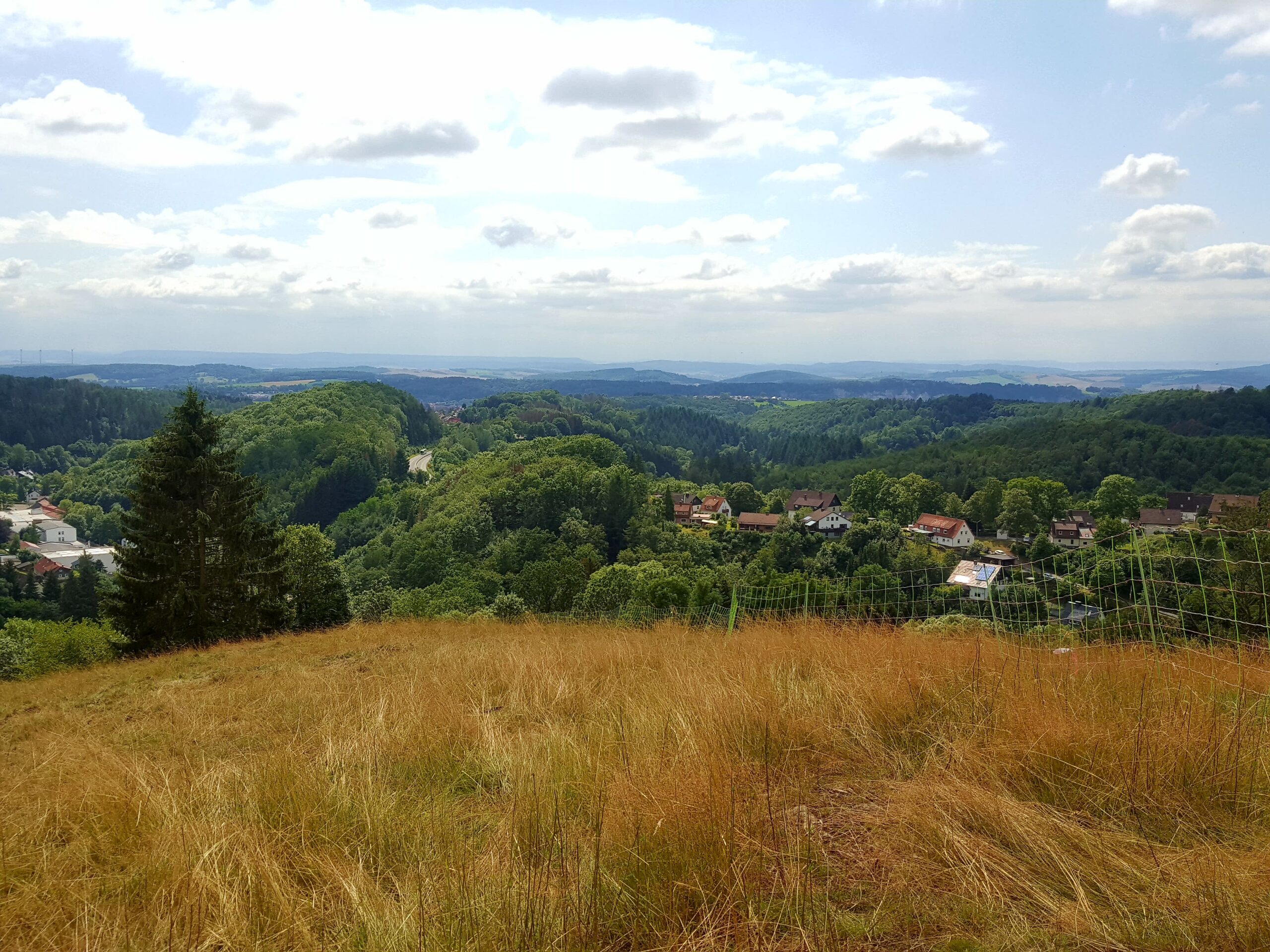 Harz 17.7.19