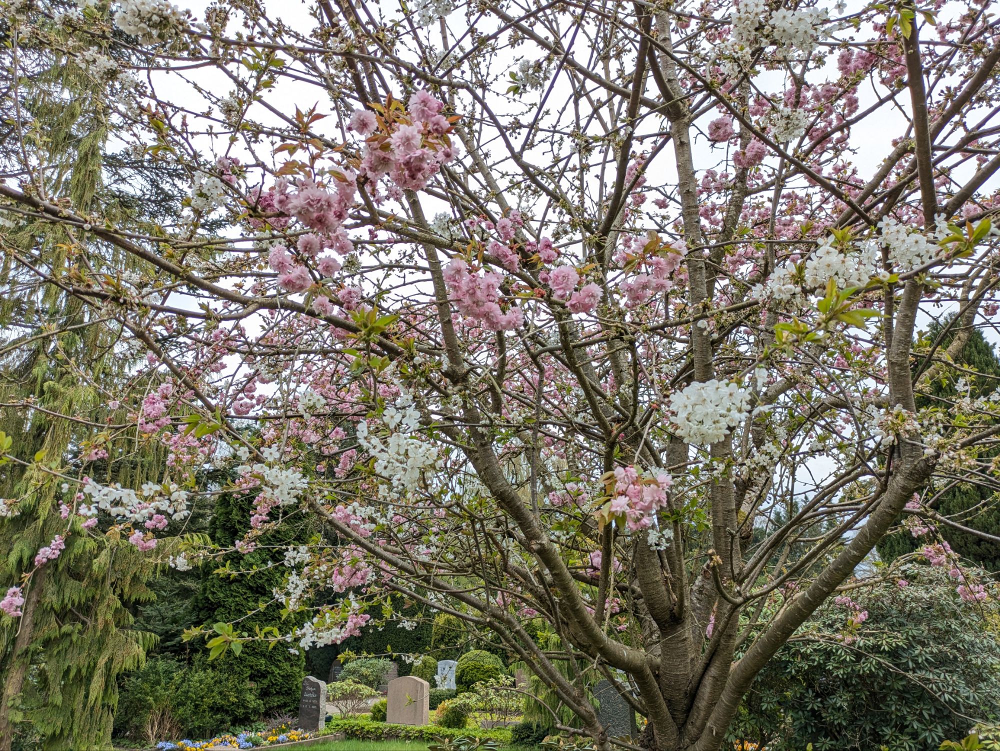 Friedhof Bordesholm
