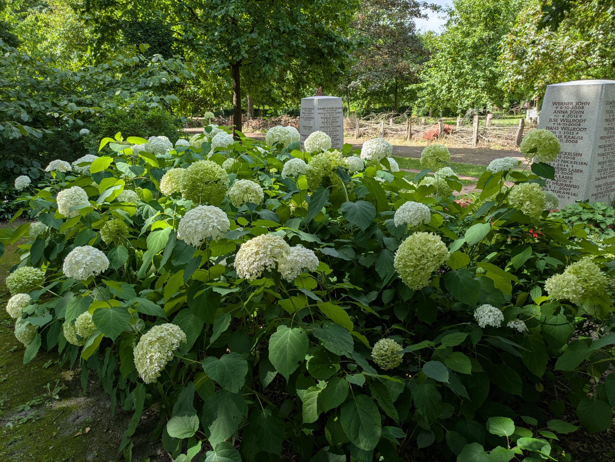 Nordfriedhof 8.8.26