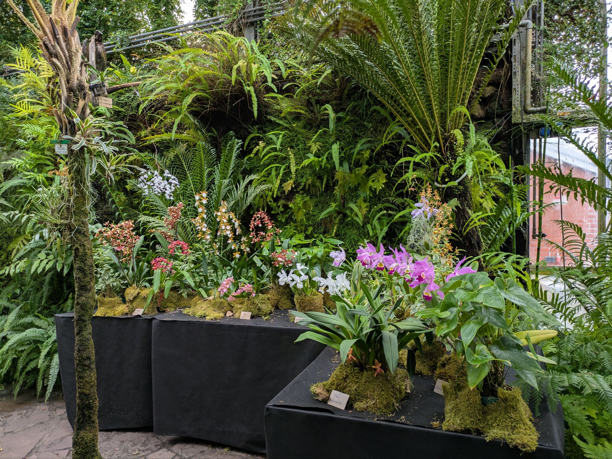 Botanischer Garten 24.9.26