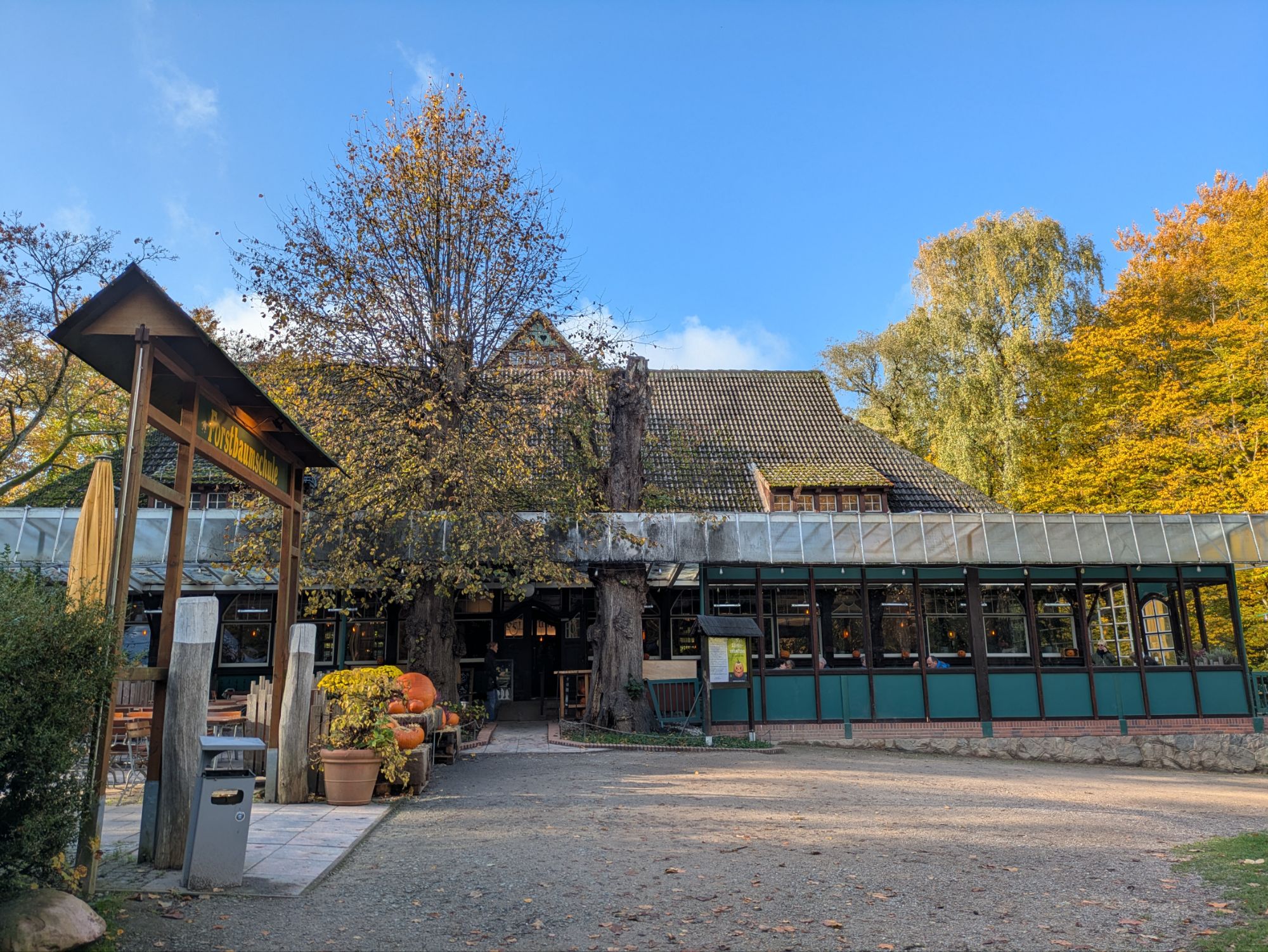 Forstbaumschule